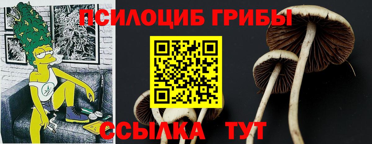 Псилоцибиновые грибы прущие грибы Карасук
