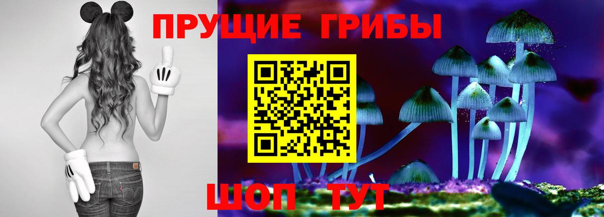 Карасук  Псилоцибиновые грибы Psilocybine cubensis  Вход с VPN  Галлюциногенные грибы MAGIC MUSHROOMS 